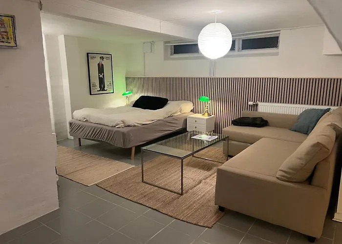 Large Basement Apartment In The Middle Of Odense